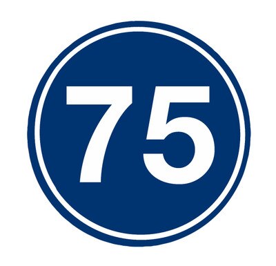 Deluxe Chipping Targets Blue 75